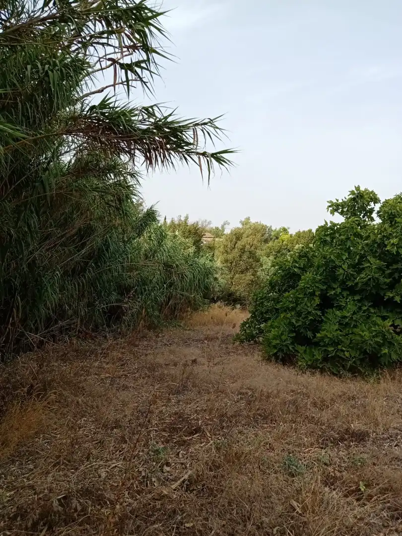 Terreny rústic en venda a Medina Sidonia, imagen 17