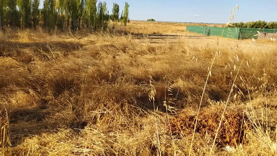 Terreno residenziale in vendita a Úbeda, imagen 4