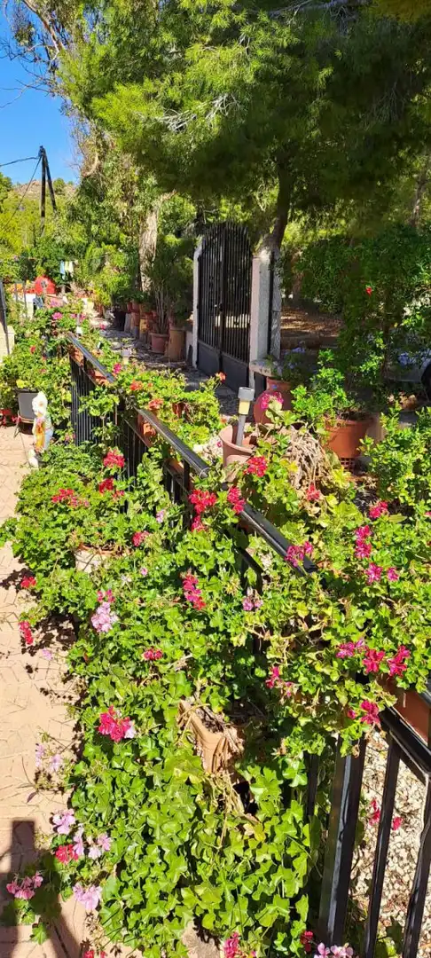 Maison rustique à vendre à Ulea, imagen 9