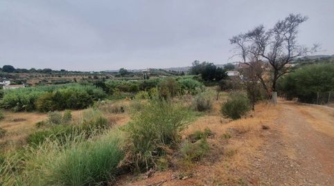 Foto 5 de Finca rústica en venta en Campanillas, Málaga Capital