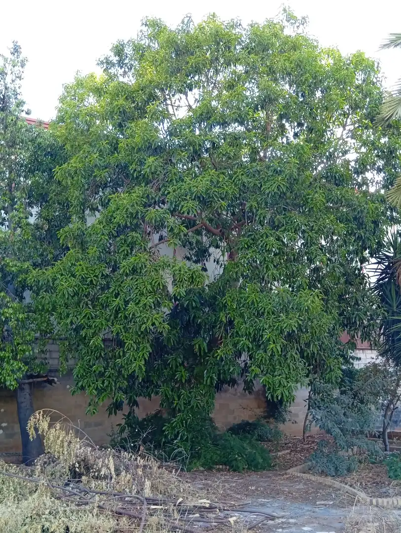 Terreni e lotti in vendita a La Hacienda - Nueva Andalucía, imagen 23