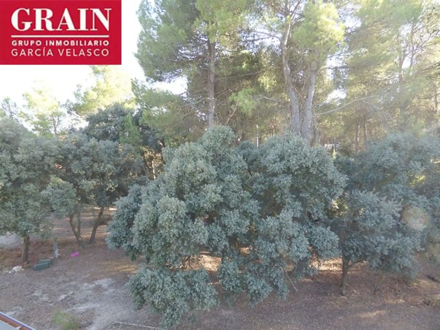 Xalet en venda a Pedanías - Extrarradio, imagen 59