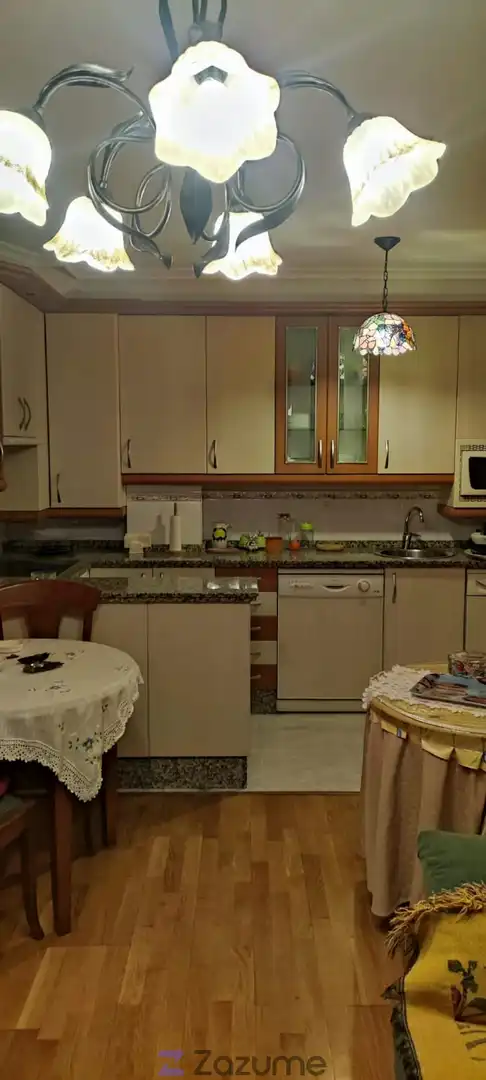Kitchen of Apartments for rent in León Capital   with Parquet flooring, Storage room and Furnished