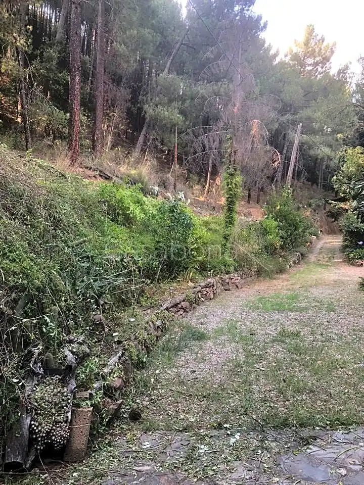 Finca rústica en venta en Arbúcies con Jardín privado, Terraza y Amueblado