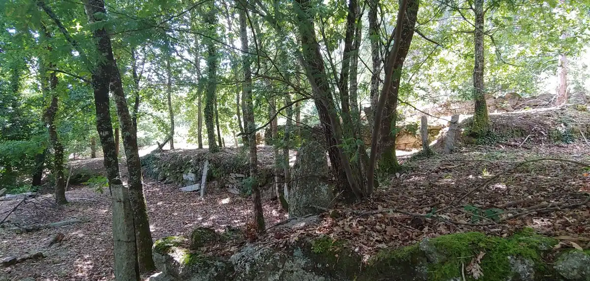 Casa o xalet en venda en Salceda de Caselas