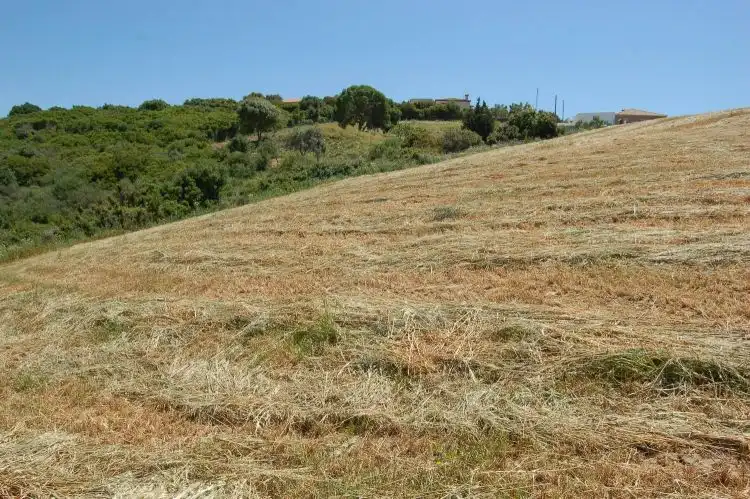 Terreni e lotti in vendita a La Muela, imagen 9