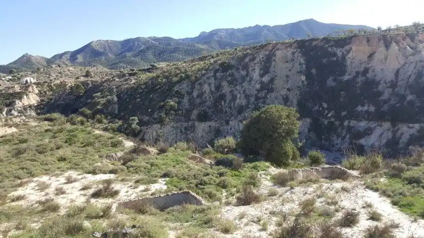 Vista exterior de Finca rústica en venta en Ricote