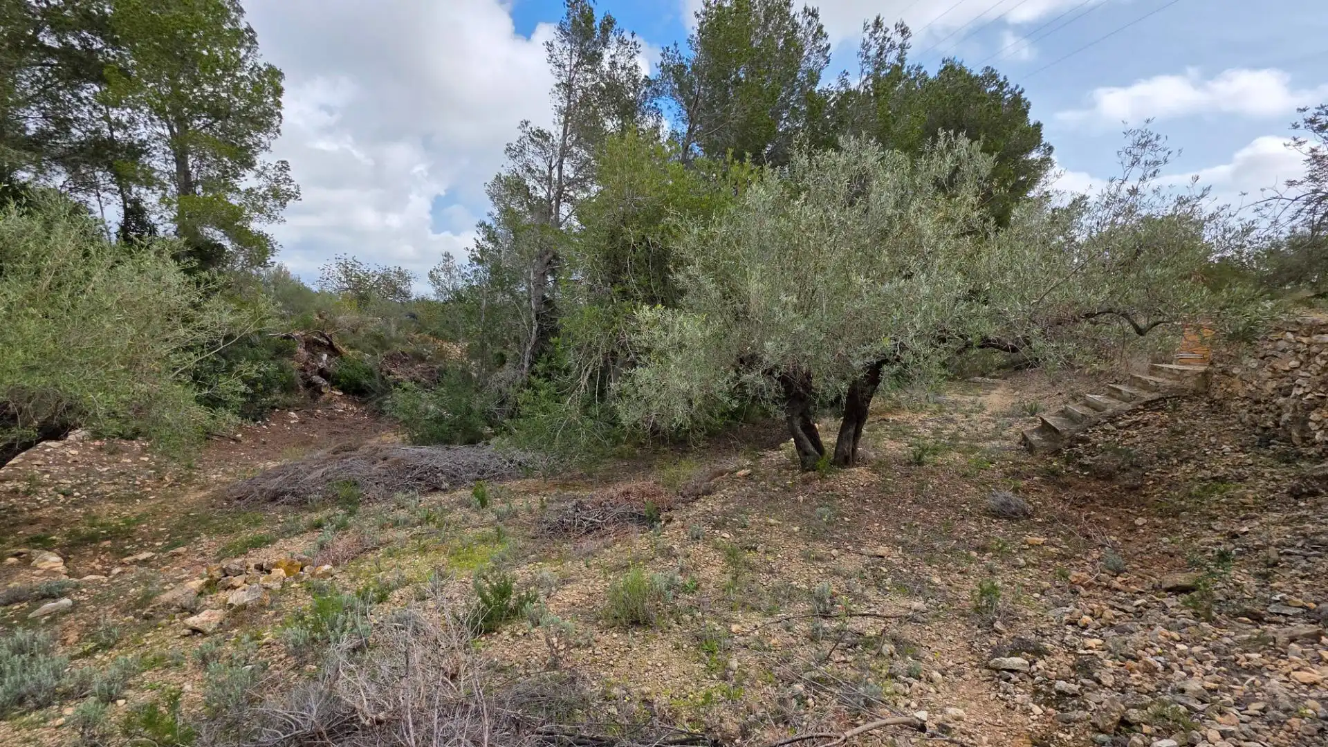 Maison rustique avec jardin à vendre à L'Ametlla de Mar pueblo, imagen 27