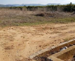 Land for sale in Rafelguaraf