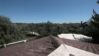 Jardí de Casa o xalet en venda en  Madrid Capital amb Aire condicionat, Terrassa i Piscina