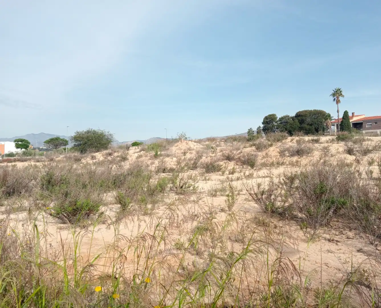 Terrenos y solares en venta en Platja de Torres, imagen 5