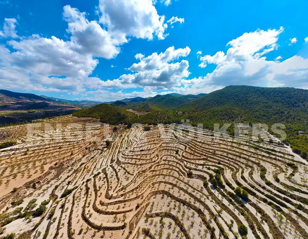 Vista exterior de Finca rústica en venta en Jijona / Xixona