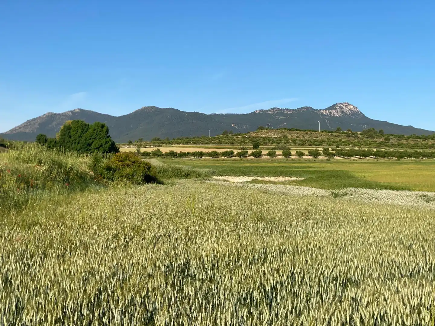 Villa à vendre à Moratalla, imagen 17