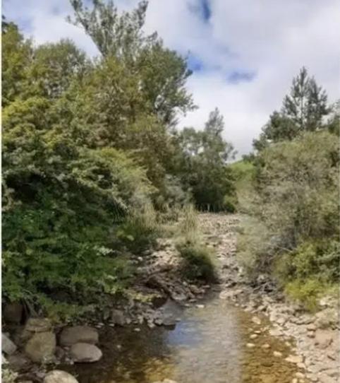 Photo 2 of House or chalet for sale in Espinosa de los Monteros, Burgos