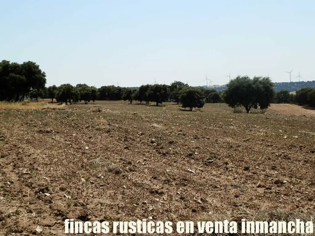Rustikales Grundstück zum Verkauf in Alcocer, imagen 7
