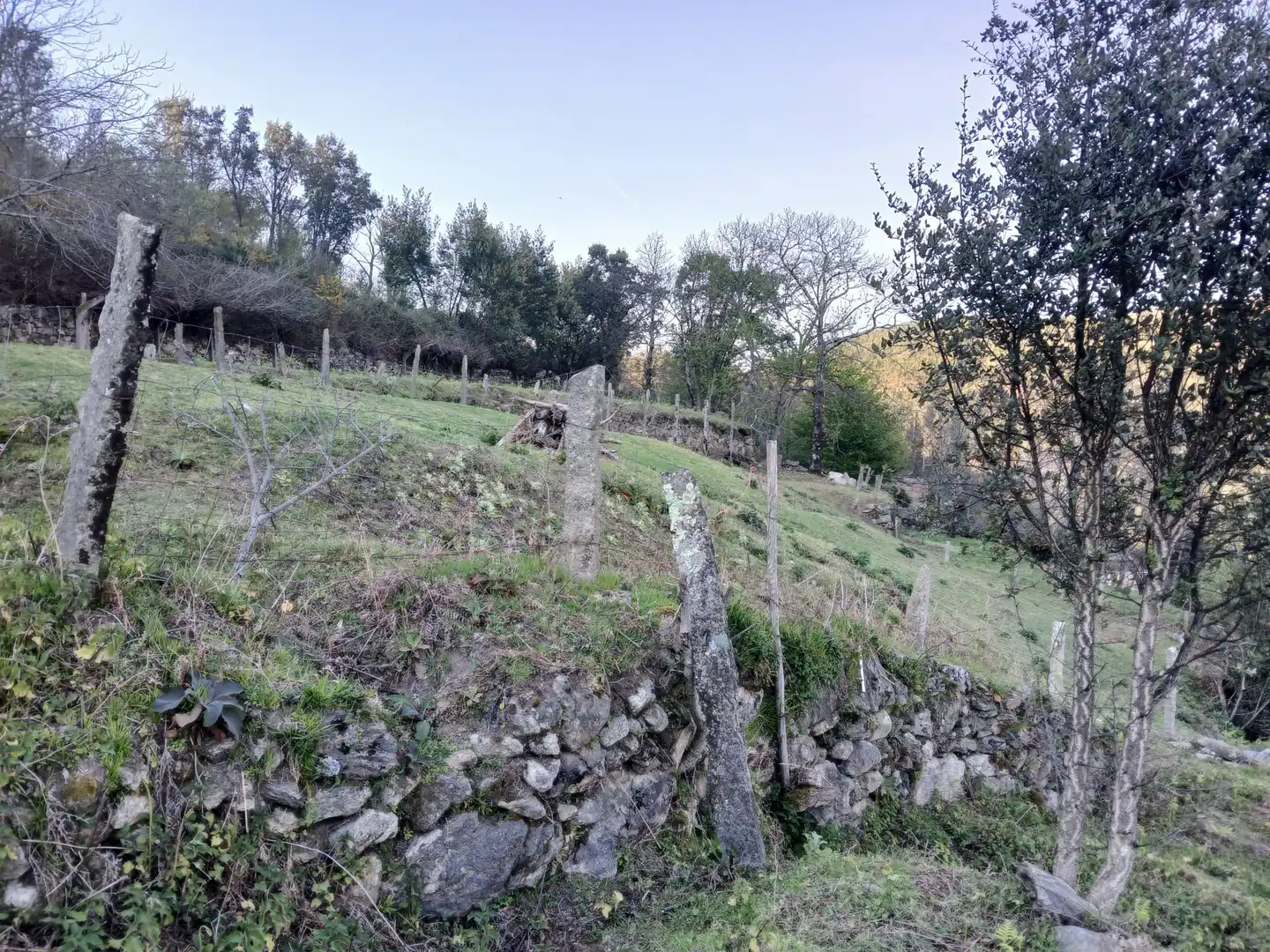 Casa o chalet en venta en As Neves   con Jardín privado