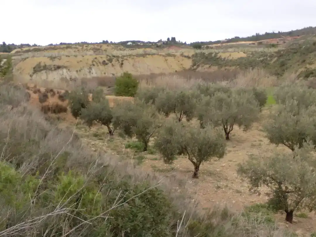 Casa o chalet en venta en Alborache con Piscina
