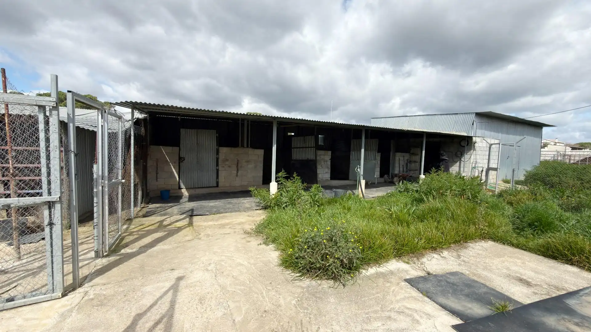 Vista exterior de Finca rústica en venta en Punta Umbría