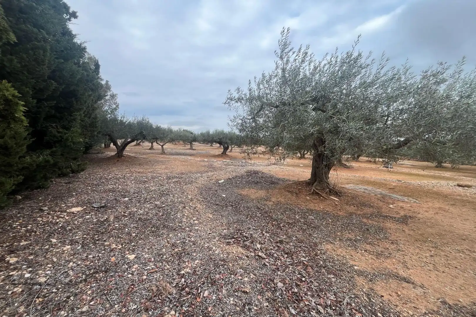 Finca rústica en venta en L'Ampolla con Terraza