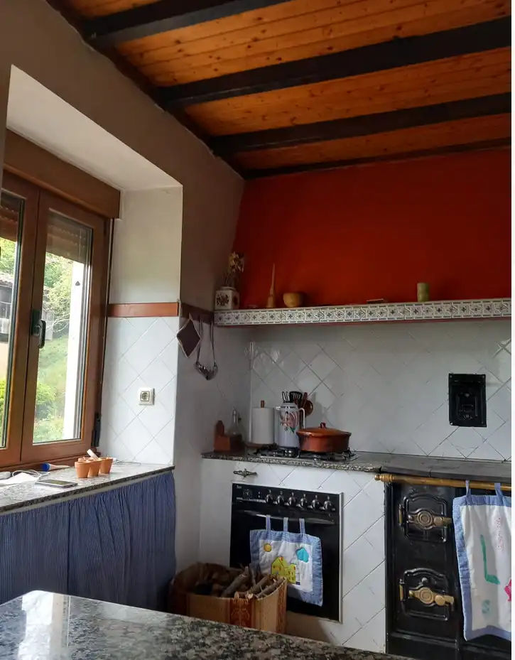 Cocina de Finca rústica en venta en Tineo con Jardín privado, Parquet y Terraza