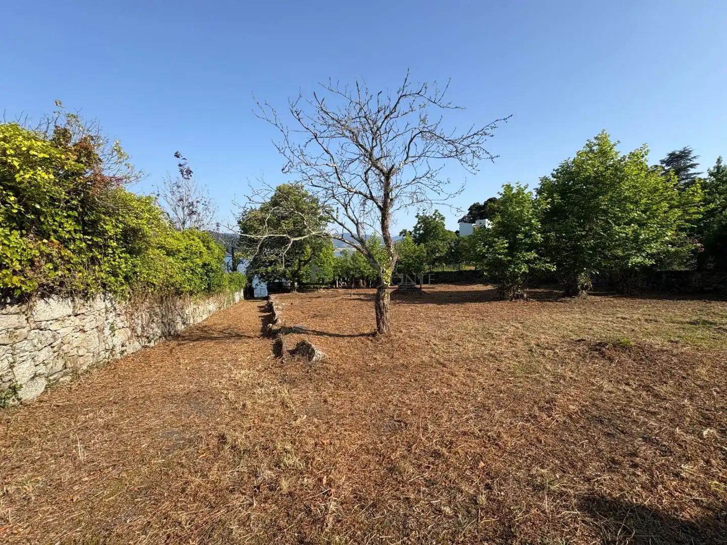 Residencial en venta en Samieira