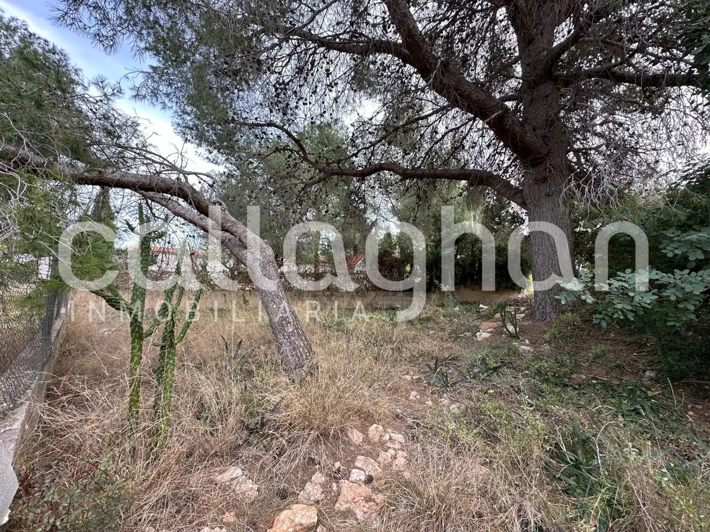 Terreny residencial en venda a Calle ESPARVER, imagen 15
