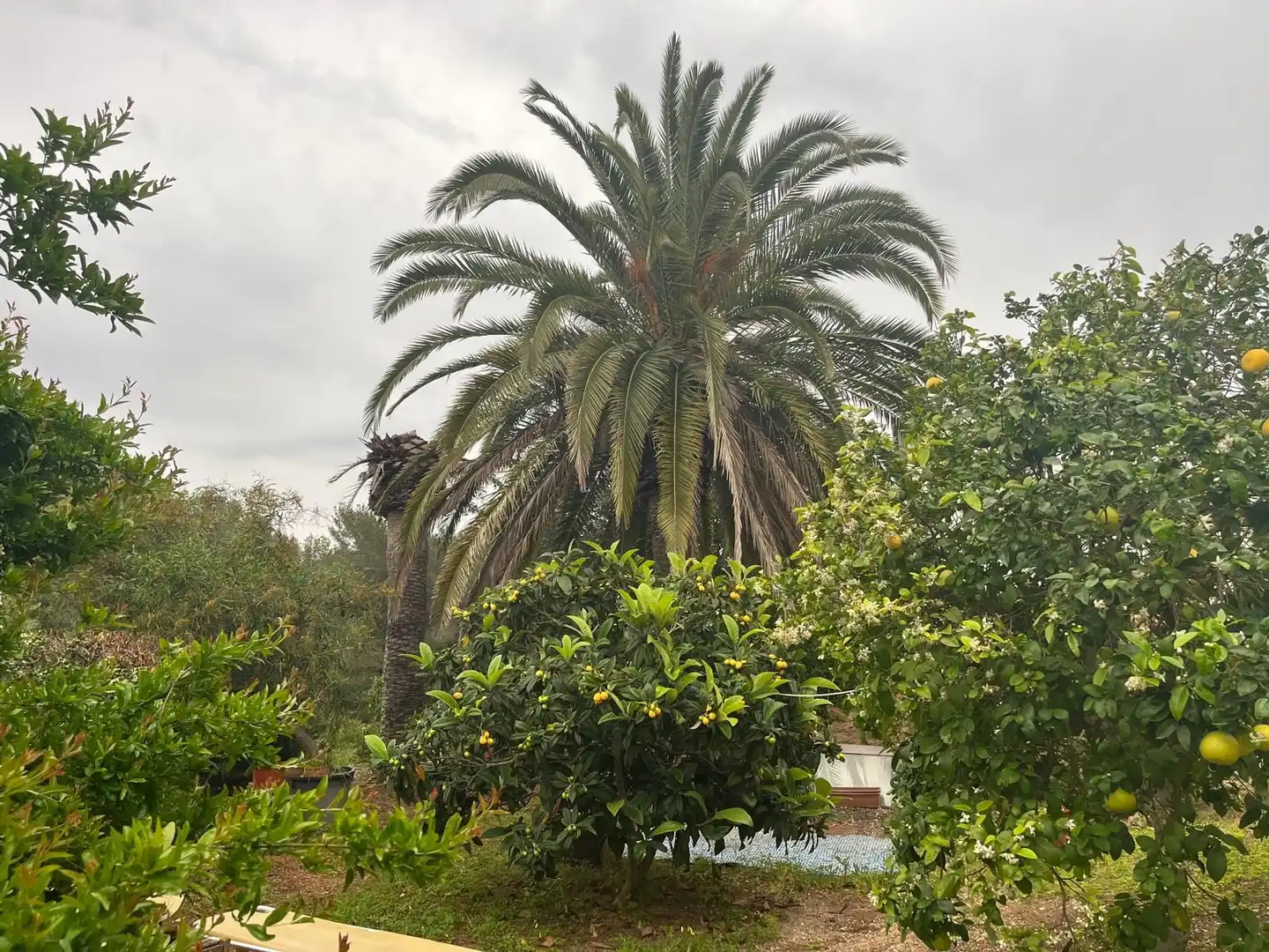 Chalet en venta en Cap Martí - El Tossalet - Pinomar, imagen 42
