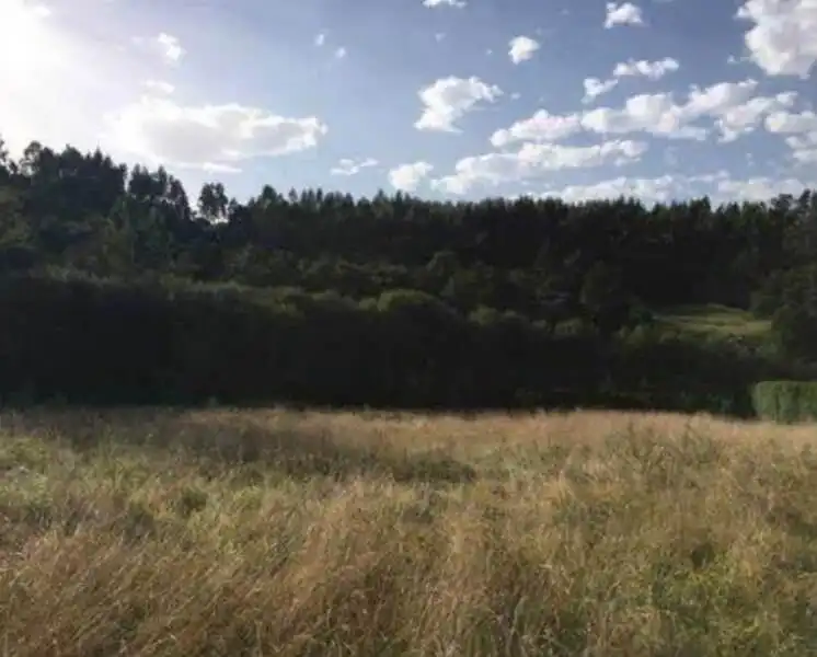 Residential for sale in Reocín