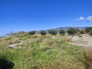 Terreno rustico in vendita a Totana