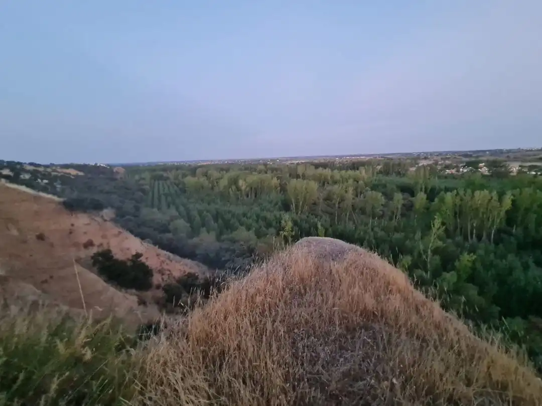 Terreni e lotti in vendita a Escalona, imagen 6