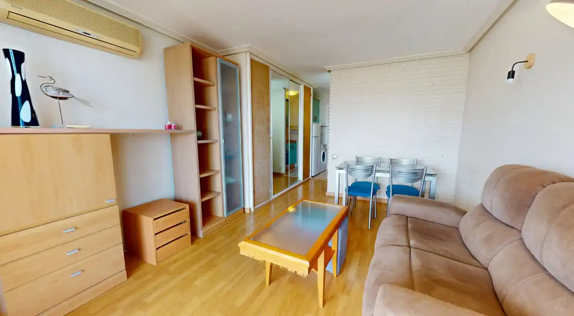 Sala de estar de Piso en venta en Alicante / Alacant con Aire acondicionado, Calefacción y Terraza