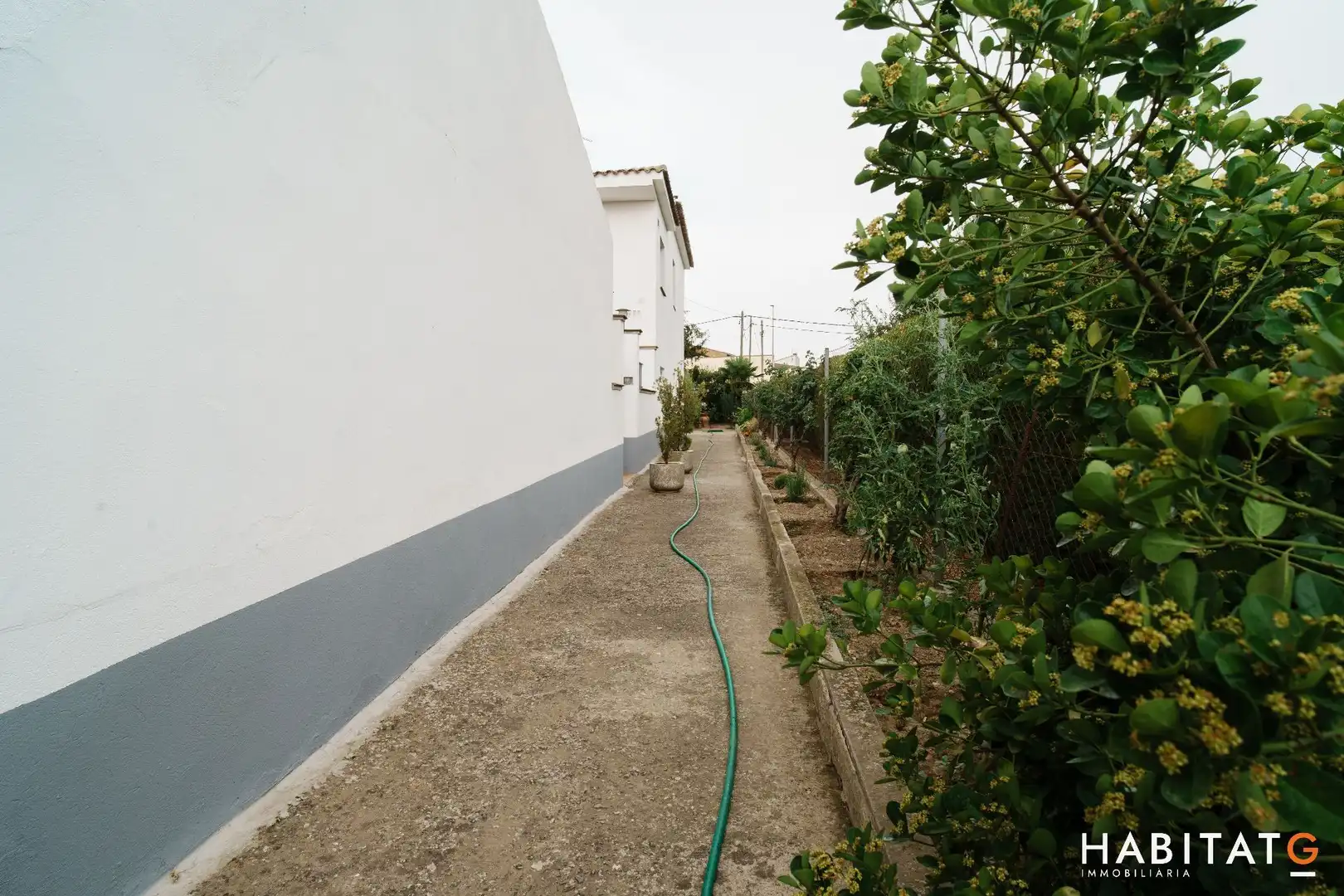 Jardín de Casa o chalet en venta en Ivars d'Urgell con Calefacción, Jardín privado y Terraza