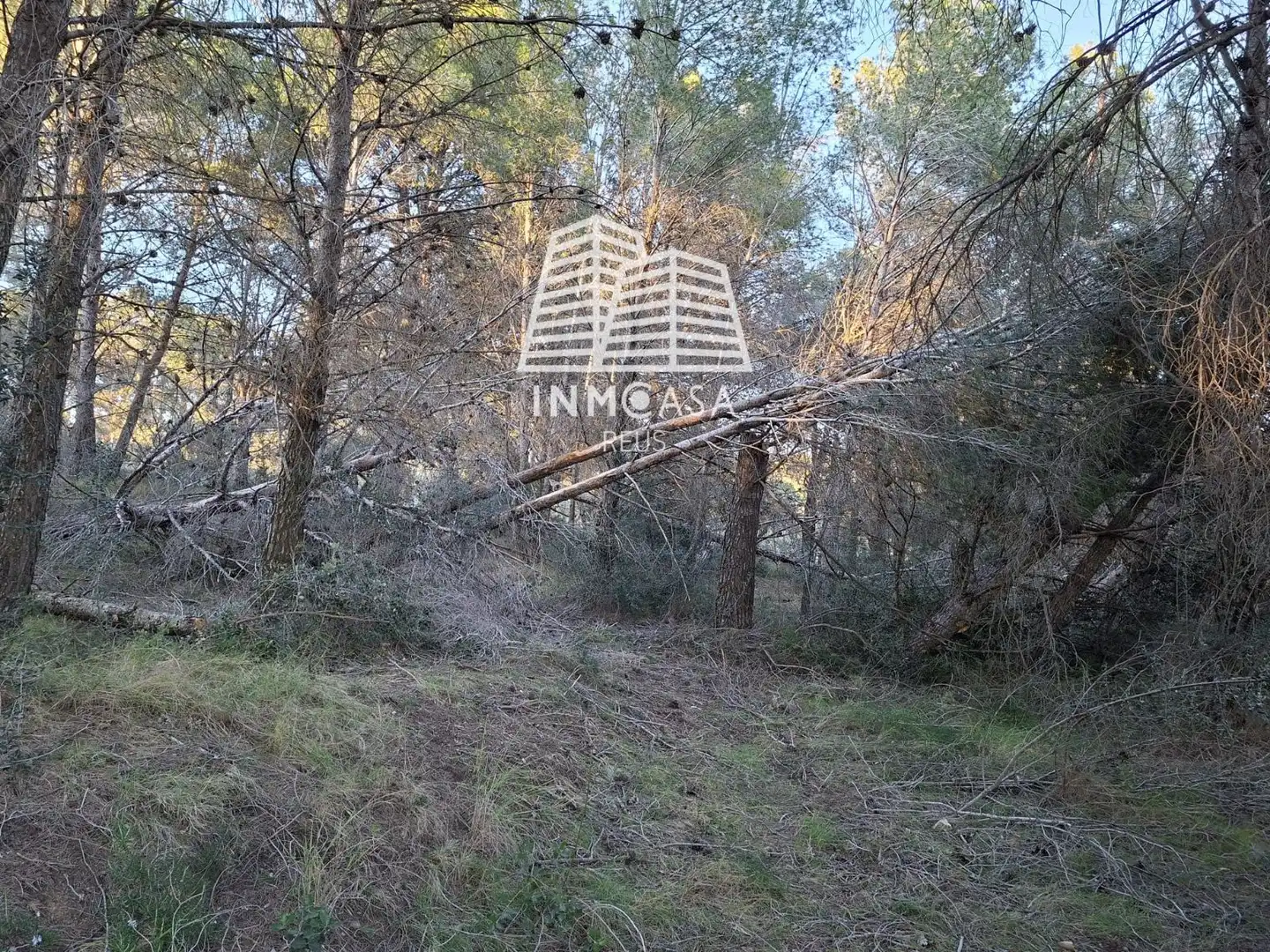Land for sale in Les Borges del Camp