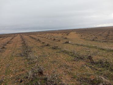 Terreni e lotti in vendita a Quintanar de la Orden
