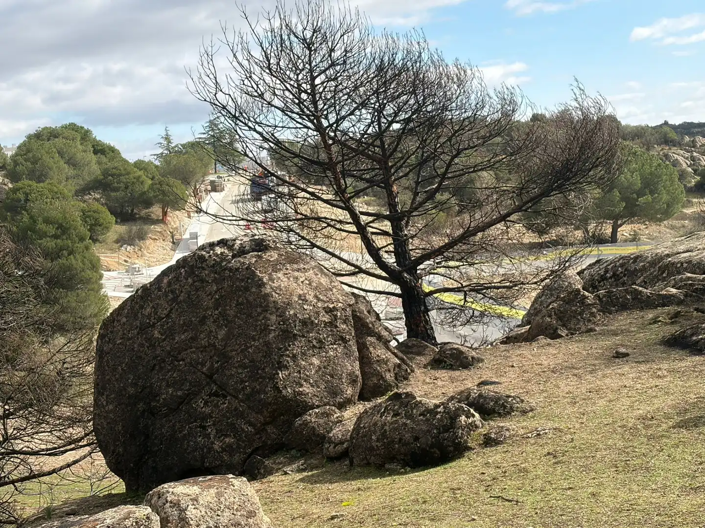 Wohnbaugrundstück zum Verkauf in Las Marías, imagen 7