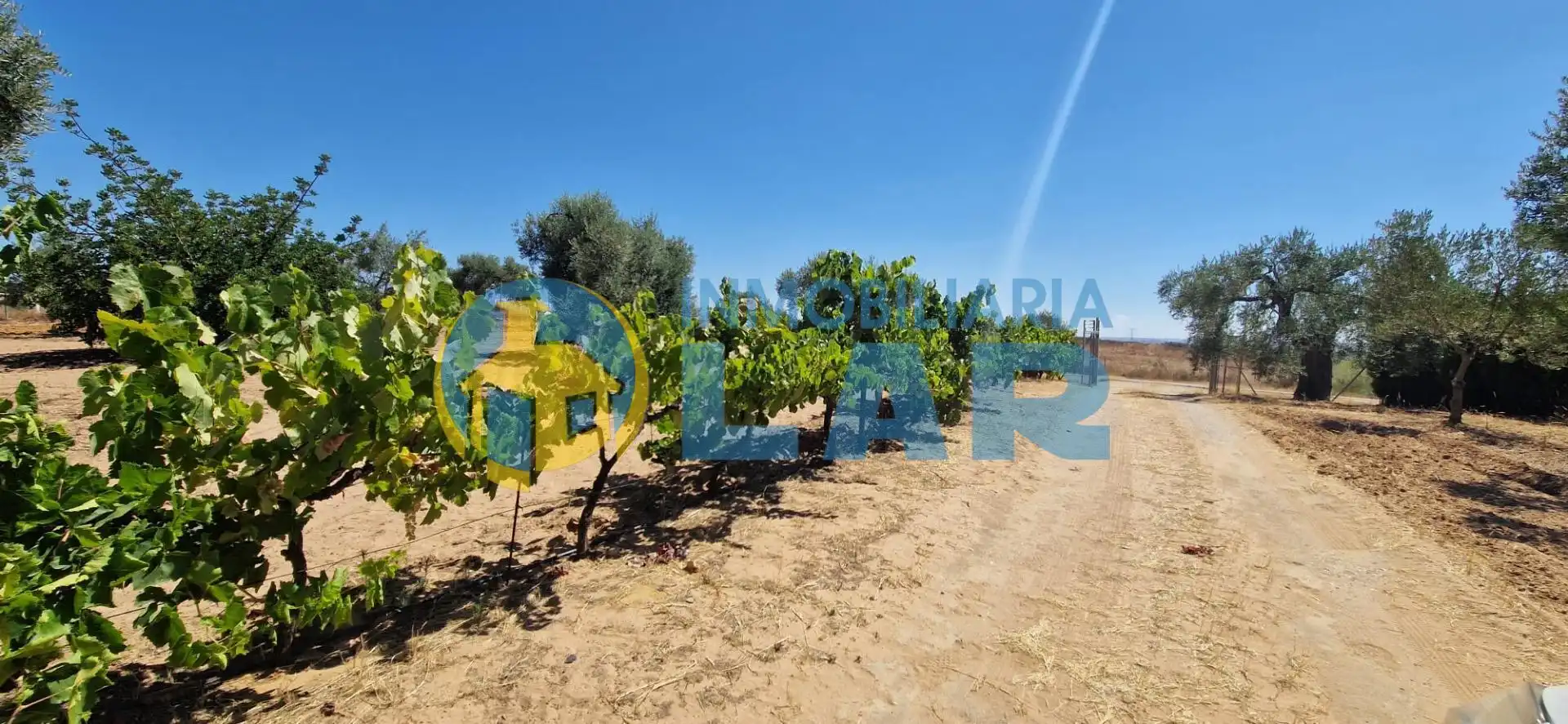 Finca rústica en venda en Niebla