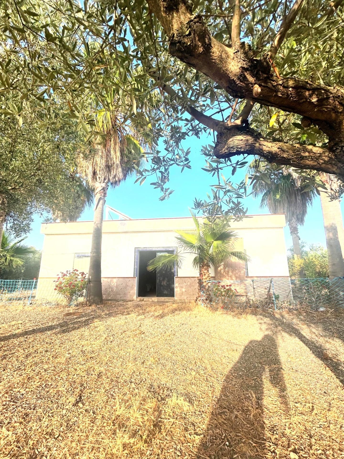 Vista exterior de Casa o xalet en venda en Alcolea del Río amb Terrassa
