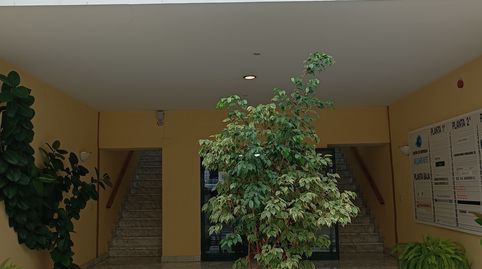 Foto 5 de Oficina de alquiler en Calle Horizonte, 7, Pisa, Mairena del Aljarafe