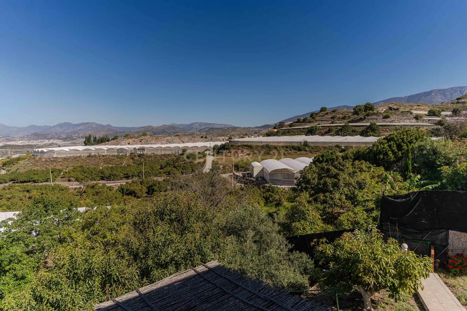 Vista exterior de Casa o chalet en venta en Motril