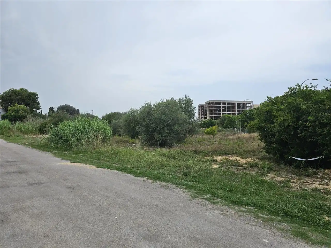 Terreno residenziale in vendita a PL Polígono 56, imagen 5
