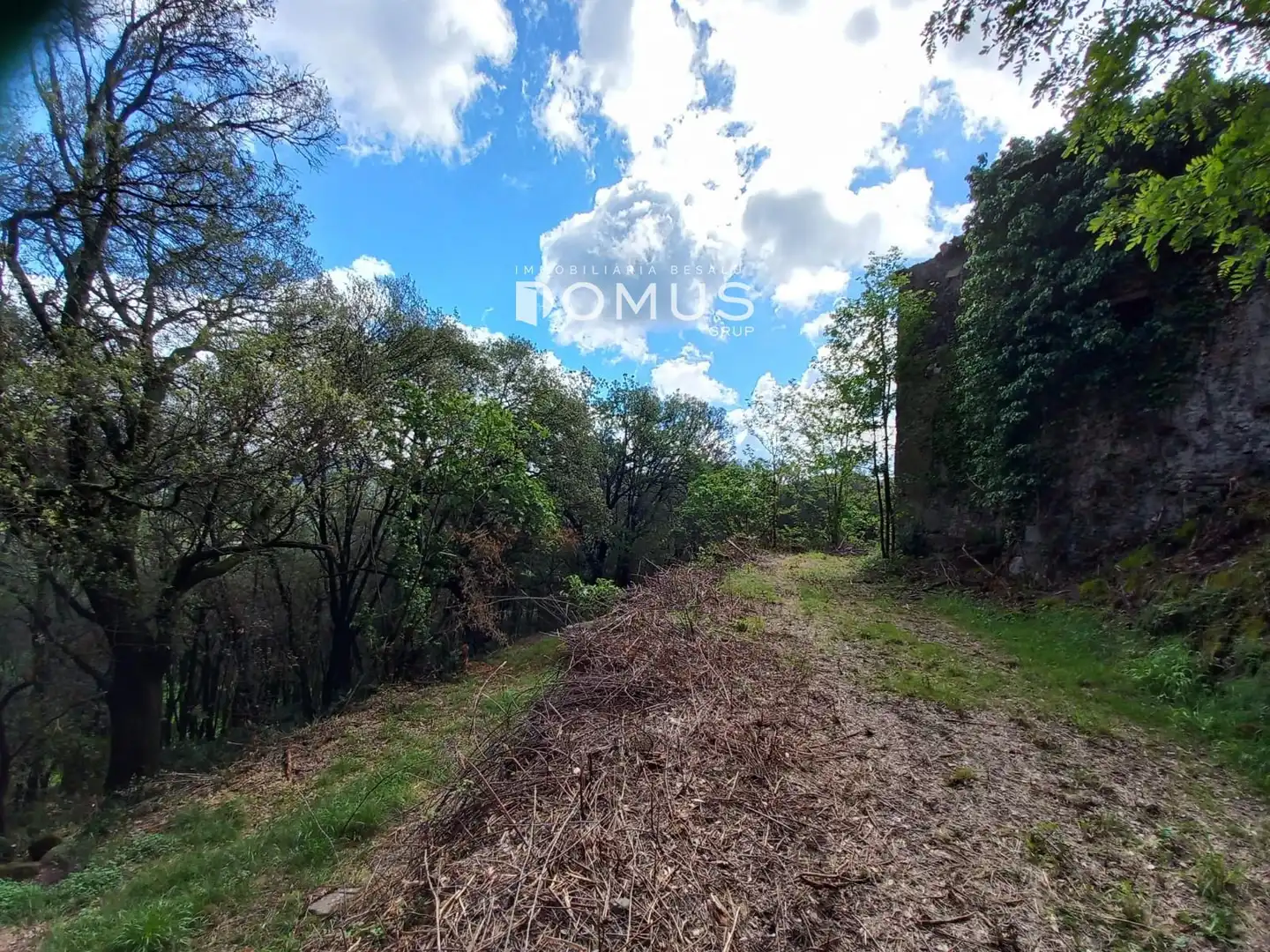 Finca rústica en venta en Sant Joan Les Fonts
