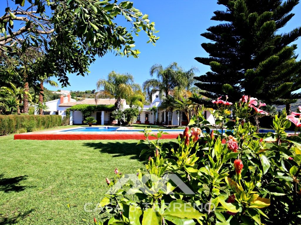 Garden of Building for sale in Frigiliana