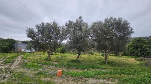 Photo 5 of Houses for sale in Manilva Pueblo, Manilva