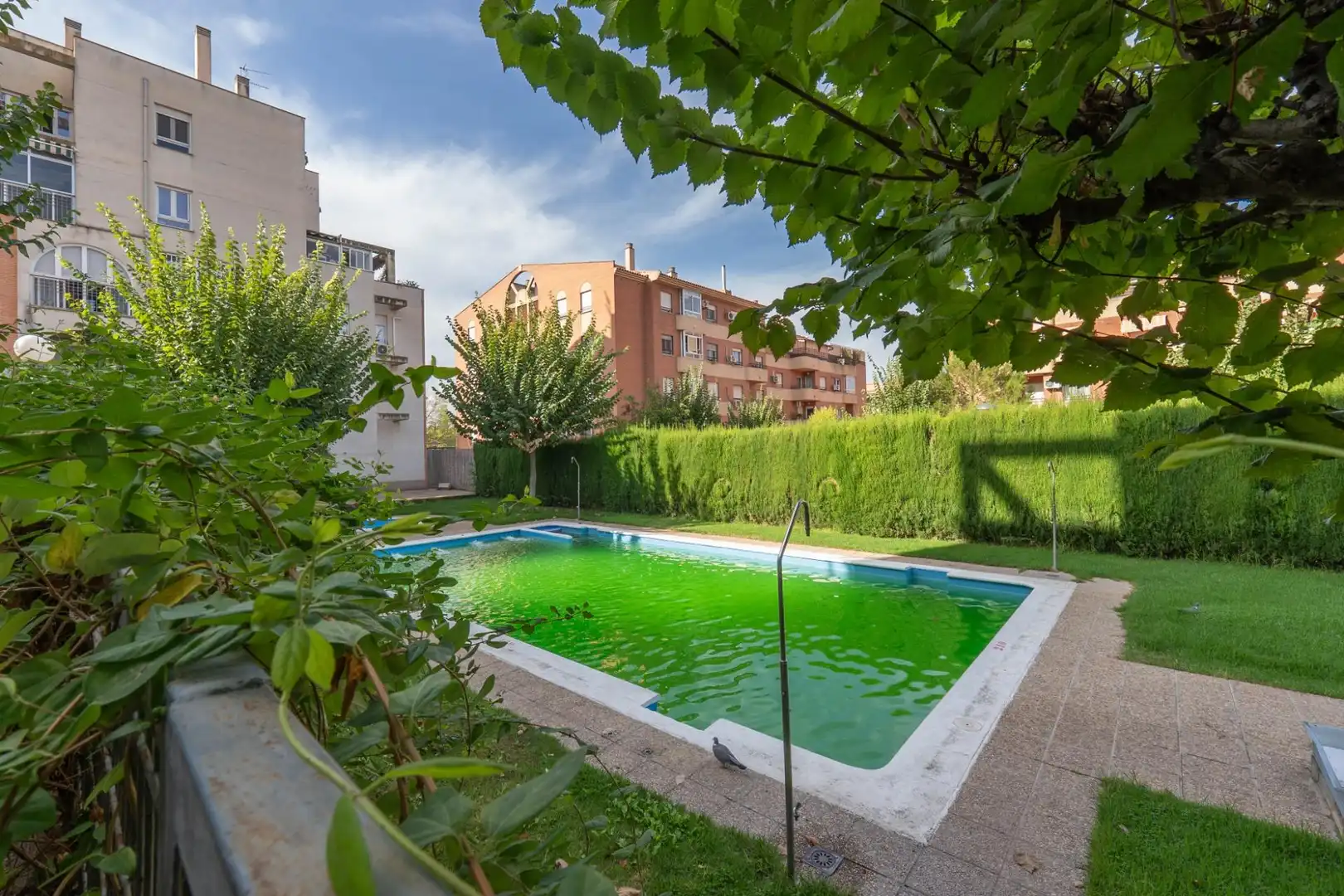 Piso con piscina en venta en Norte, imagen 55