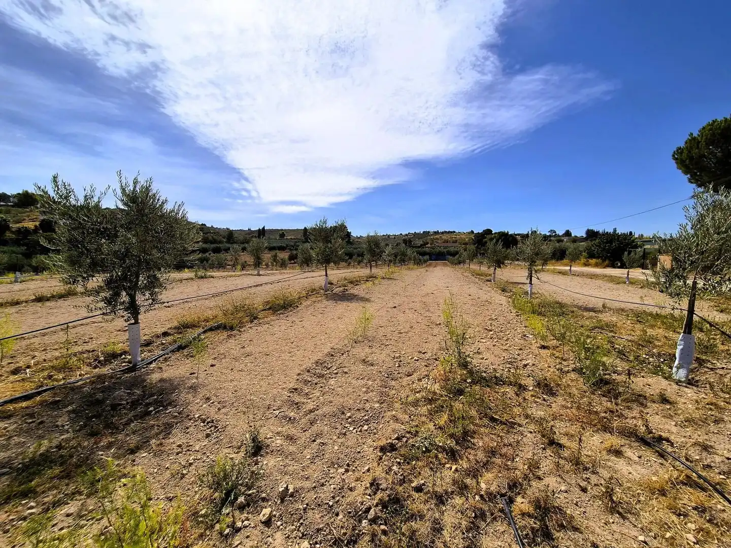 Wohnbaugrundstück zum Verkauf in Moraleda de Zafayona, imagen 5