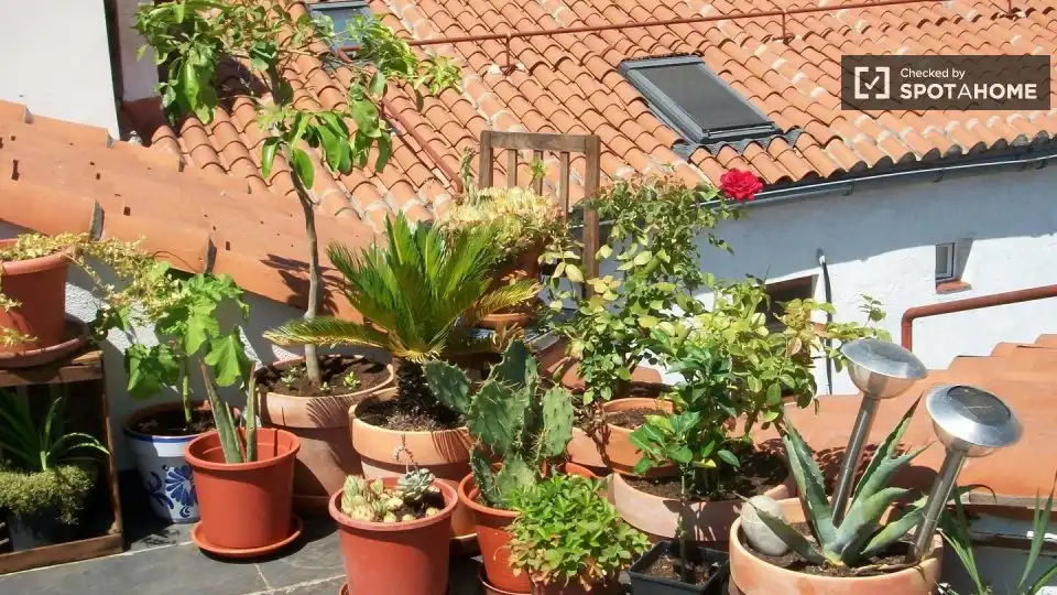 Flat with terrace to rent in Centro