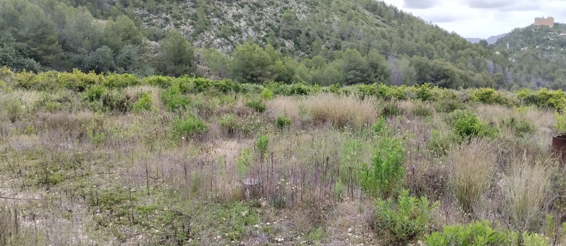 Rural land for sale in L'Atzúbia, imagen 10