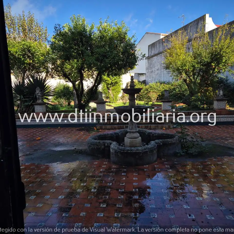 Jardín de Casa o chalet en venta en La Palma del Condado con Terraza