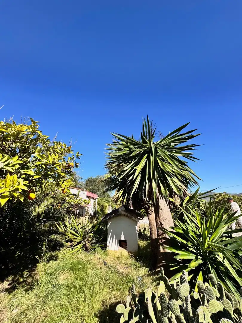 Maison avec piscine à vendre à Álora, imagen 34