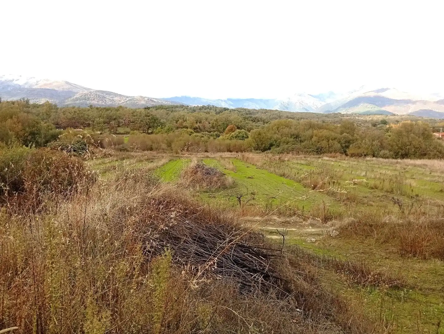 Terreni e lotti in vendita a Villanueva de la Vera, imagen 17